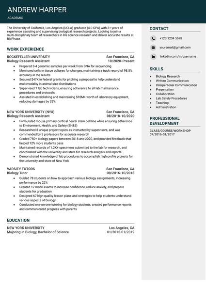 Attractive Academic Resume Google Docs Template