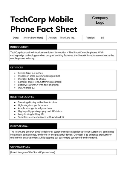 Free Black and White Fact Sheet Google Docs Template