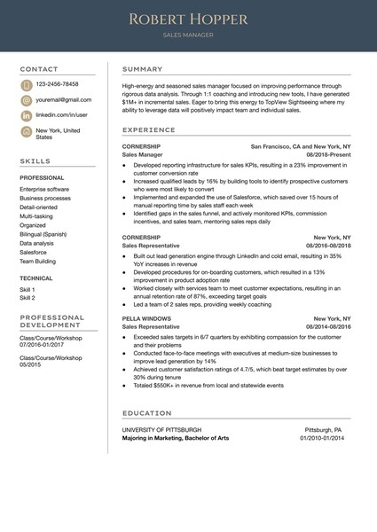 Premium Sales Manager Resume Google Docs Template: Professional & ATS Friendly