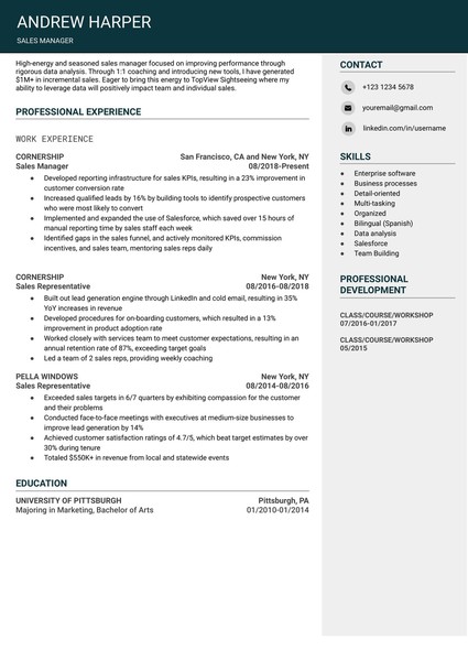 Attractive Sales Manager Resume Google Docs Template: Free and ATS Friendly