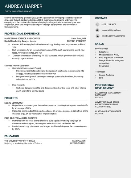 Attractive Student Resume Google Docs Template