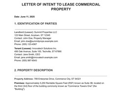 Commercial Lease LOI Template template preview