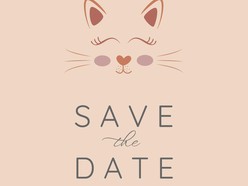 Minimalist Save the Date Template - Thumbnail