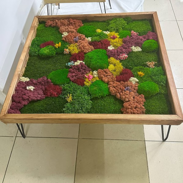 Terrarium Coffee Table